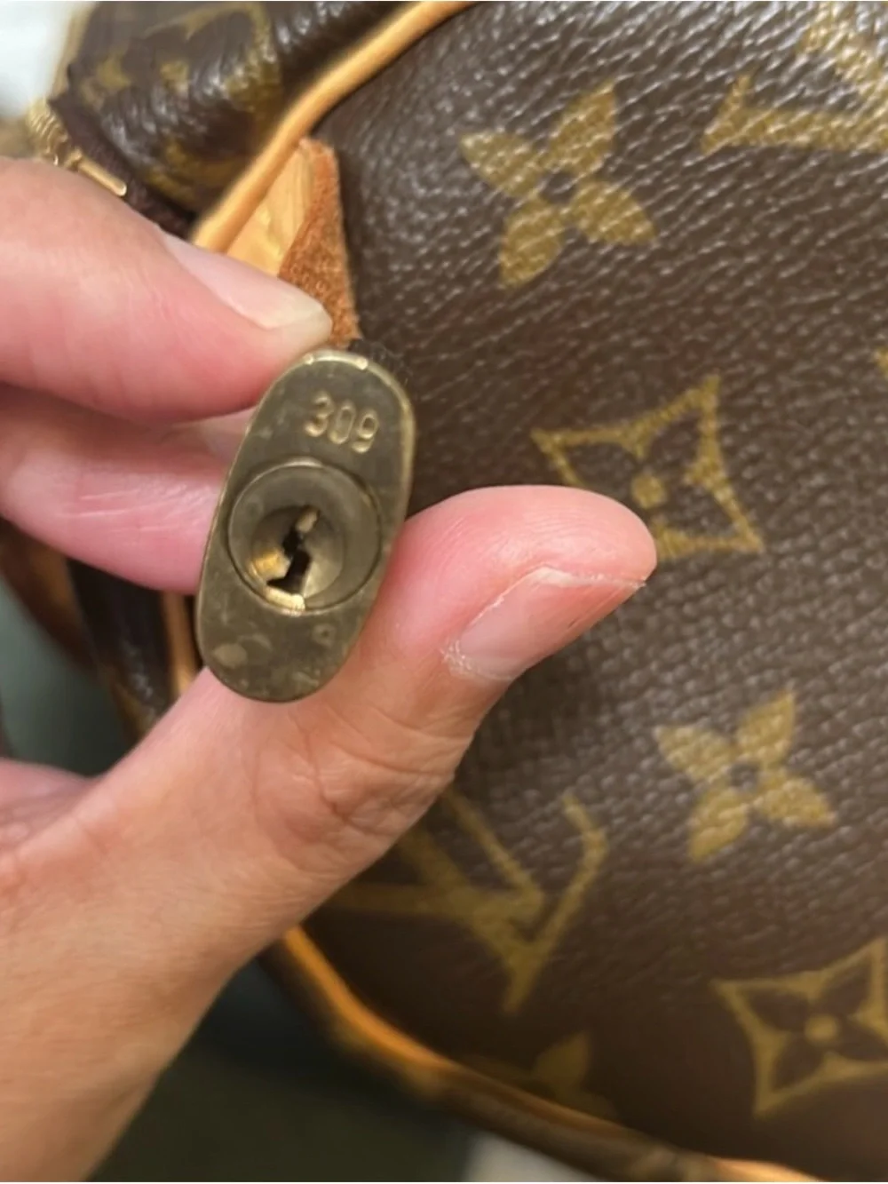 Louis Vuitton Speedy 25 monogram